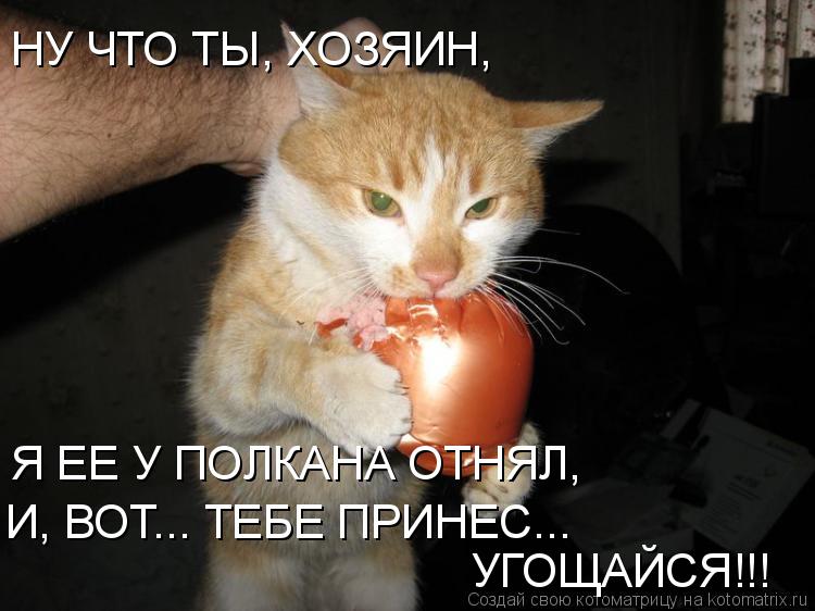 НУ ЧТО ТЫ, ХОЗЯИН, Я ЕЕ У ПОЛКАНА ОТНЯЛ, И, ВОТ... ТЕБЕ ПРИНЕС... УГОЩАЙСЯ!!!... Котоматрица: НУ ЧТО ТЫ, ХОЗЯИН, Я ЕЕ У ПОЛКАНА ОТНЯЛ, И, ВОТ... ТЕБЕ ПРИНЕС... УГОЩАЙСЯ!!!