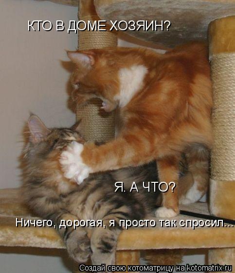 Котоматрица: КТО В ДОМЕ ХОЗЯИН? Я. А ЧТО? Ничего, дорогая, я просто так спросил...