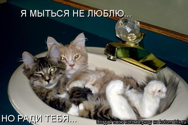 Я МЫТЬСЯ НЕ ЛЮБЛЮ... НО РАДИ ТЕБЯ...... Котоматрица: Я МЫТЬСЯ НЕ ЛЮБЛЮ... НО РАДИ ТЕБЯ...