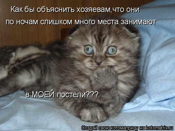 Котоматрица: Как бы объяснить хозяевам,что они по ночам слишком много места занимают в МОЕЙ постели???