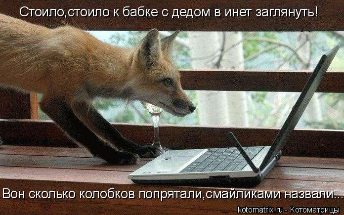 Стоило,стоило к бабке с дедом в инет заглянуть! Вон сколько колобков попрятали,смайликами назвали...... Котоматрица: Стоило,стоило к бабке с дедом в инет заглянуть! Вон сколько колобков попрятали,смайликами назвали...