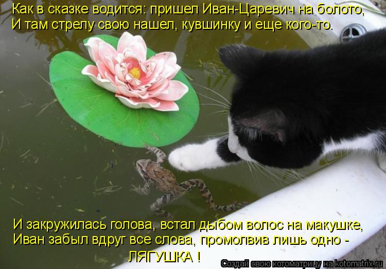 Как в сказке водится: пришел Иван-Царевич на болото, И там стрелу свою нашел, кувшинку и еще кого-то…... Котоматрица: Как в сказке водится: пришел Иван-Царевич на болото, И там стрелу свою нашел, кувшинку и еще кого-то… И закружилась голова, встал дыбом волос