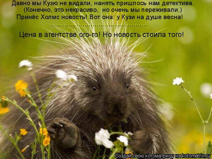 Котоматрица: Давно мы Кузю не видали, нанять пришлось нам детектива… (Конечно, это некрасиво,  но очень мы переживали.) Принёс Холмс новость! Вот она: у Ку