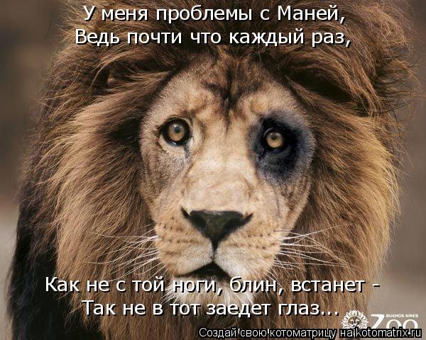 У меня проблемы с Маней, Ведь почти что каждый раз, Как не с той ноги, блин, встанет - Так не в то... Котоматрица: У меня проблемы с Маней, Ведь почти что каждый раз, Как не с той ноги, блин, встанет - Так не в тот заедет глаз...