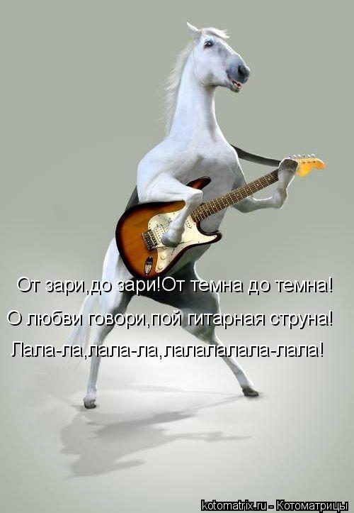 Котоматрица: От зари,до зари!От темна до темна! О любви говори,пой гитарная струна! Лала-ла,лала-ла,лалалалала-лала!