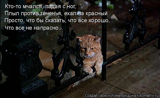 Котоматрица: Кто-то мчался, падая с ног, Плыл против теченья, ехал на красный Просто, что бы сказать, что все хорошо, Что все не напрасно...