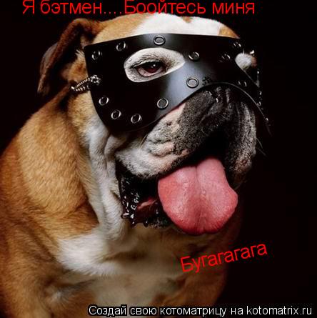 Я бэтмен....Боойтесь миня Бугагагага... Котоматрица: Я бэтмен....Боойтесь миня Бугагагага