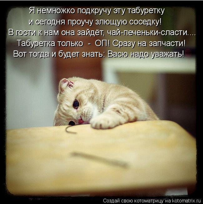 Я немножко подкручу эту табуретку и сегодня проучу злющую соседку! В гости к нам она зайдёт, чай-пече... Котоматрица: Я немножко подкручу эту табуретку и сегодня проучу злющую соседку! В гости к нам она зайдёт, чай-печеньки-сласти…... Табуретка только - ОП! С