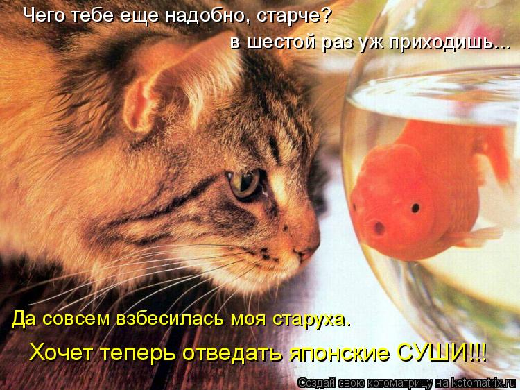 Чего тебе еще надобно, старче? в шестой раз уж приходишь... Да совсем взбесилась моя старуха. Хочет... Котоматрица: Чего тебе еще надобно, старче? в шестой раз уж приходишь... Да совсем взбесилась моя старуха. Хочет теперь отведать японские СУШИ!!!