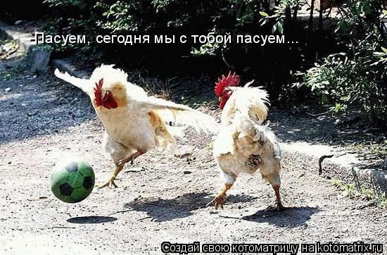 -Пасуем, сегодня мы с тобой пасуем...... Котоматрица: -Пасуем, сегодня мы с тобой пасуем...