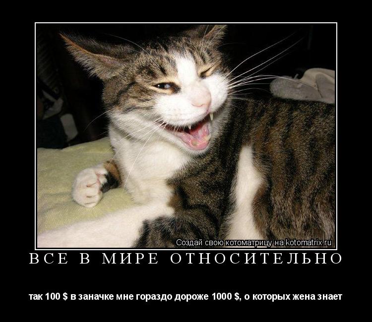 все в мире относительно так 100 $ в заначке мне гораздо дороже 1000 $, о которых жена знает... Котоматрица: все в мире относительно так 100 $ в заначке мне гораздо дороже 1000 $, о которых жена знает