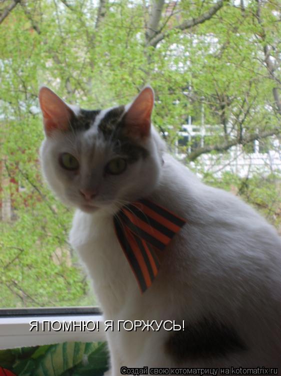 Котоматрица: Я ПОМНЮ! Я ГОРЖУСЬ!