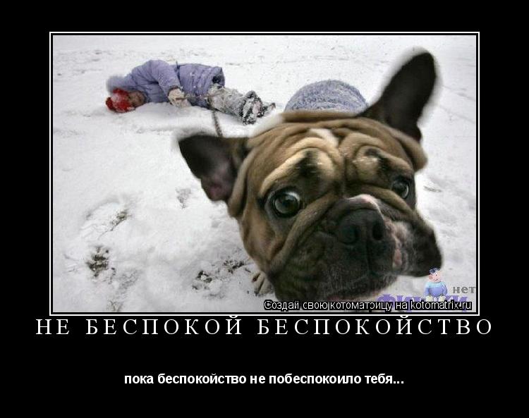 Не беспокой беспокойство пока беспокойство не побеспокоило тебя...... Котоматрица: Не беспокой беспокойство пока беспокойство не побеспокоило тебя...