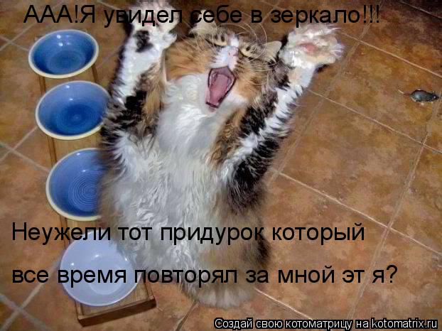 ААА!Я увидел себе в зеркало!!! Неужели тот придурок который все время повторял за мной эт я?... Котоматрица: ААА!Я увидел себе в зеркало!!! Неужели тот придурок который все время повторял за мной эт я?