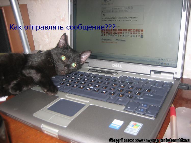 Как отправлять сообщение???... Котоматрица: Как отправлять сообщение???