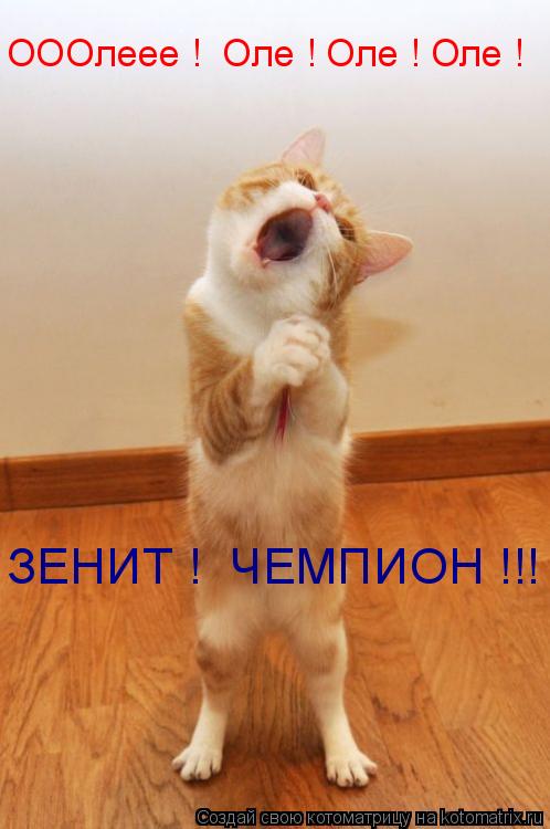 ОООлеее ! Оле ! Оле ! Оле ! ЗЕНИТ ! ЧЕМПИОН !!!... Котоматрица: ОООлеее ! Оле ! Оле ! Оле ! ЗЕНИТ ! ЧЕМПИОН !!!