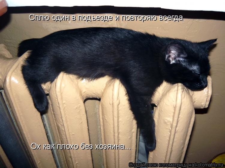 Ох как плохо без хозяина... Сплю один в подъезде и повторяю всегда... Котоматрица: Ох как плохо без хозяина... Сплю один в подъезде и повторяю всегда