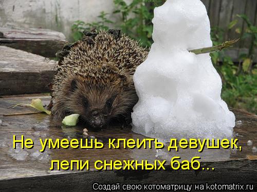 Не умеешь клеить девушек, лепи снежных баб...... Котоматрица: Не умеешь клеить девушек, лепи снежных баб...