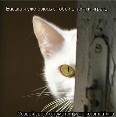 Васька я уже боюсь с тобой в прятки играть... Котоматрица: Васька я уже боюсь с тобой в прятки играть