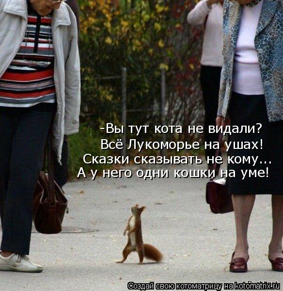 -Вы тут кота не видали? Всё Лукоморье на ушах! Сказки сказывать не кому... А у него одни кошки на уме... Котоматрица: -Вы тут кота не видали? Всё Лукоморье на ушах! Сказки сказывать не кому... А у него одни кошки на уме!