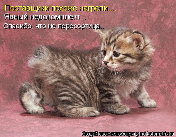 Поставщики похоже нагрели.... Явный недокомплект... Спасибо, что не пересортица..... Котоматрица: Поставщики похоже нагрели.... Явный недокомплект... Спасибо, что не пересортица..