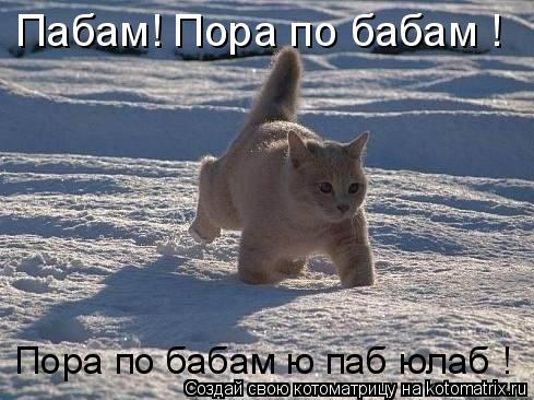 Котоматрица: Пабам! Пора по бабам ! Пора по бабам ю паб юлаб !