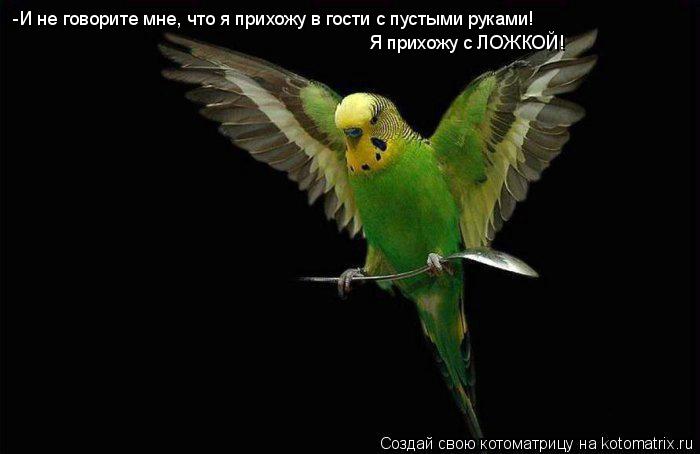 Котоматрица: -И не говорите мне, что я прихожу в гости с пустыми руками! Я прихожу с ЛОЖКОЙ!