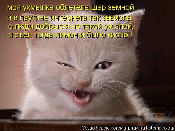 моя ухмылка облетела шар земной и в паутине интернета так зависла о,люди добрые я не такой уж злой, я... Котоматрица: моя ухмылка облетела шар земной и в паутине интернета так зависла о,люди добрые я не такой уж злой, я съел тогда лимон и было кисло !