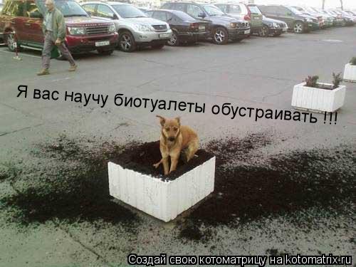 Я вас научу биотуалеты обустраивать !!!... Котоматрица: Я вас научу биотуалеты обустраивать !!!