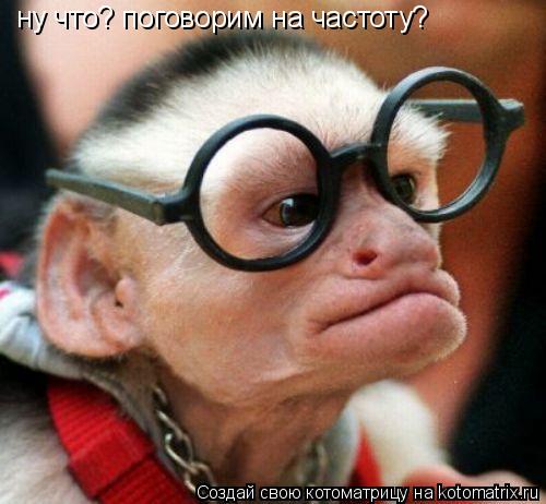 ну что? поговорим на частоту?... Котоматрица: ну что? поговорим на частоту?