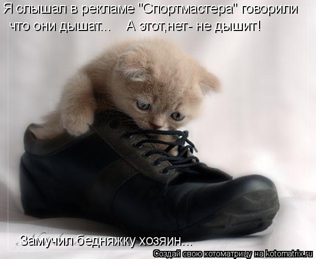 Я слышал в рекламе "Спортмастера" говорили что они дышат... А этот,нет- не дышит! Замучил бедняжк... Котоматрица: Я слышал в рекламе "Спортмастера" говорили что они дышат... А этот,нет- не дышит! Замучил бедняжку хозяин...