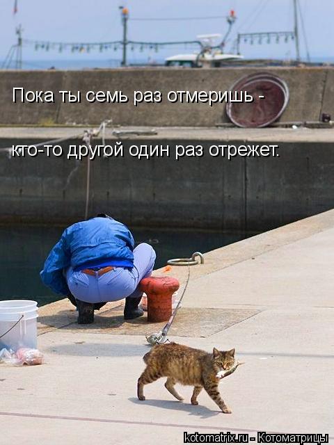 Пока ты семь раз отмеришь - кто-то другой один раз отрежет.... Котоматрица: Пока ты семь раз отмеришь - кто-то другой один раз отрежет.