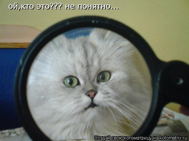 ой,кто это??? не понятно...... Котоматрица: ой,кто это??? не понятно...
