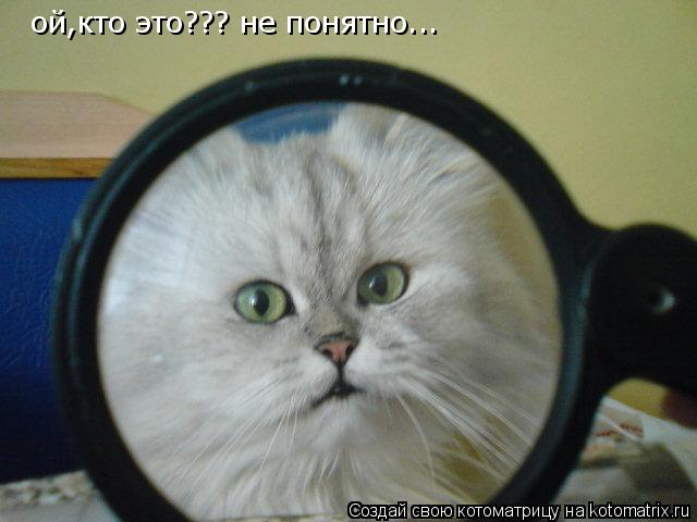 Котоматрица: ой,кто это??? не понятно...