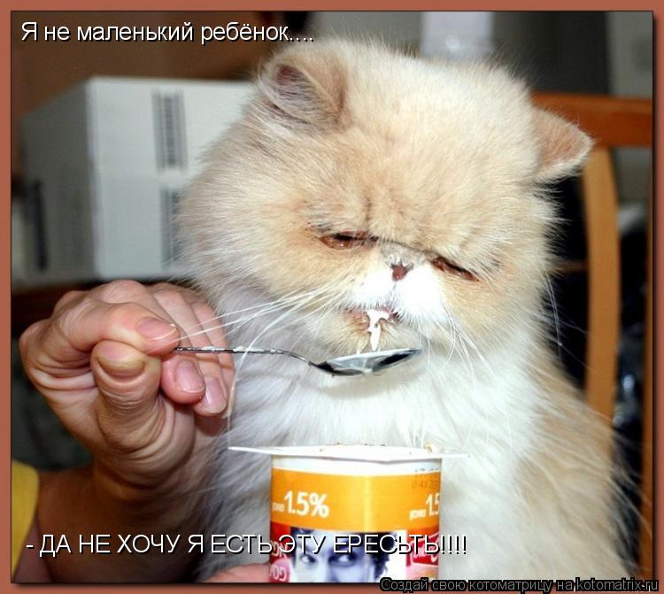 Котоматрица: Я не маленький ребёнок.... - ДА НЕ ХОЧУ Я ЕСТЬ ЭТУ ЕРЕСЬТЬ!!!!