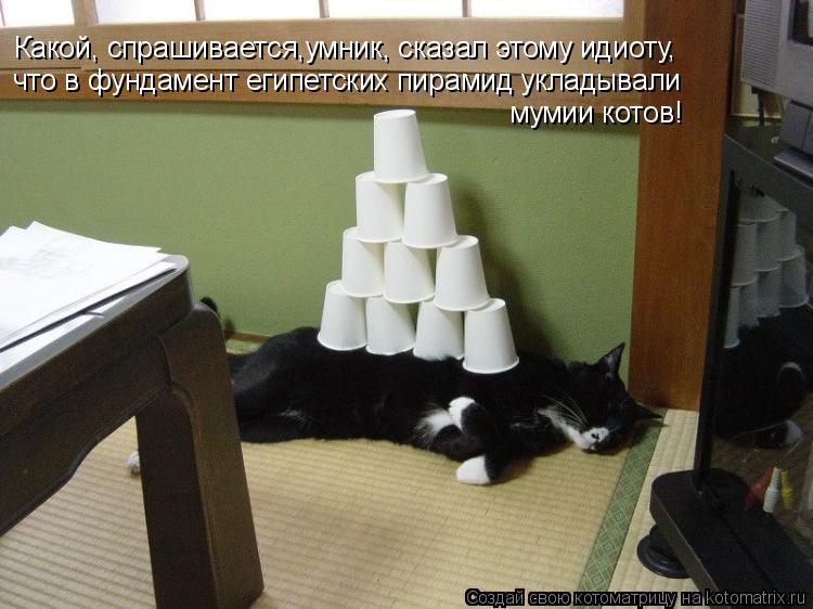 Котоматрица: Какой, спрашивается,умник, сказал этому идиоту, что в фундамент египетских пирамид укладывали мумии котов!