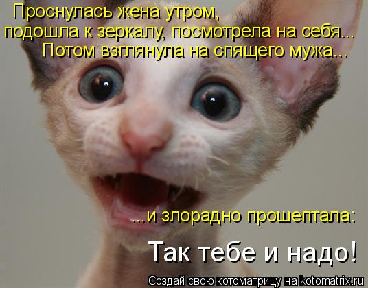 Проснулась жена утром, подошла к зеркалу, посмотрела на себя... Потом взглянула на спящего мужа... ..... Котоматрица: Проснулась жена утром, подошла к зеркалу, посмотрела на себя... Потом взглянула на спящего мужа... ...и злорадно прошептала: Так тебе и надо!