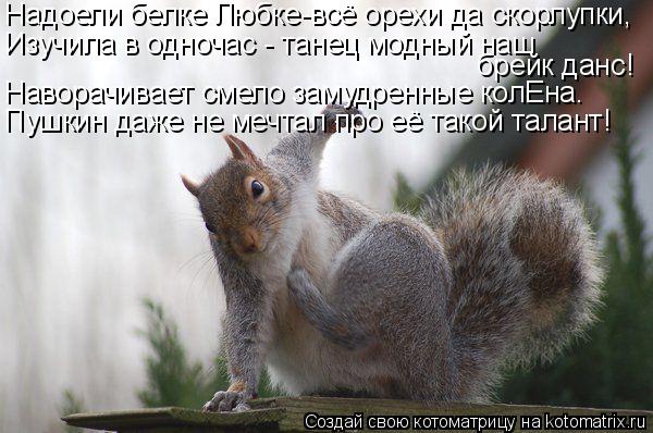 Надоели белке Любке-всё орехи да скорлупки, Изучила в одночас - танец модный наш брейк данс! Навора... Котоматрица: Надоели белке Любке-всё орехи да скорлупки, Изучила в одночас - танец модный наш брейк данс! Наворачивает смело замудренные колЕна. Пушкин