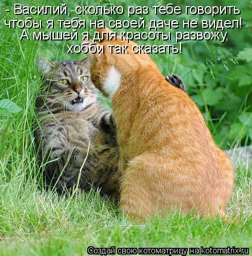 - Василий, сколько раз тебе говорить чтобы я тебя на своей даче не видел! А мышей я для красоты разво... Котоматрица: - Василий, сколько раз тебе говорить чтобы я тебя на своей даче не видел! А мышей я для красоты развожу, хобби так сказать!