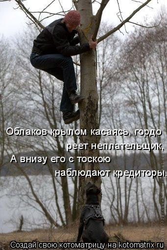 Облаков крылом касаясь, гордо реет неплательщик, А внизу его с тоскою наблюдают кредиторы.... Котоматрица: Облаков крылом касаясь, гордо реет неплательщик, А внизу его с тоскою наблюдают кредиторы.
