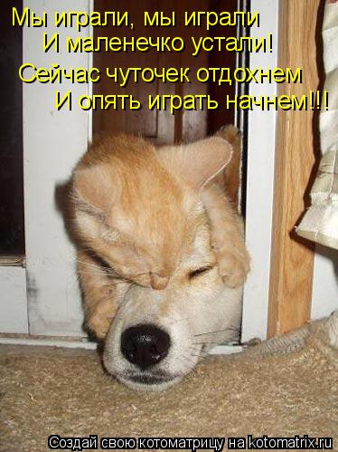 Мы играли, мы играли И маленечко устали! Сейчас чуточек отдохнем И опять играть начнем!!!... Котоматрица: Мы играли, мы играли И маленечко устали! Сейчас чуточек отдохнем И опять играть начнем!!!