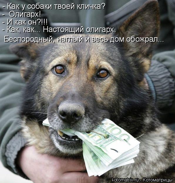 - Как у собаки твоей кличка? - Олигарх! - И как он?!!! - Как, как... Настоящий олигарх. Беспородный... Котоматрица: - Как у собаки твоей кличка? - Олигарх! - И как он?!!! - Как, как... Настоящий олигарх. Беспородный, наглый и весь дом обожрал...