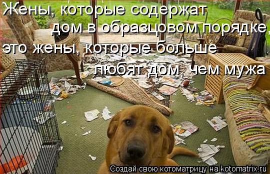 Жены, которые содержат дом в образцовом порядке, это жены, которые больше любят дом, чем мужа... Котоматрица: Жены, которые содержат дом в образцовом порядке, это жены, которые больше любят дом, чем мужа