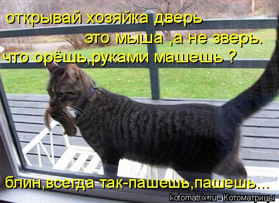 открывай хозяйка дверь это мыша ,а не зверь. что орёшь,руками машешь ? блин,всегда так-пашешь,пашешь.... Котоматрица: открывай хозяйка дверь это мыша ,а не зверь. что орёшь,руками машешь ? блин,всегда так-пашешь,пашешь...