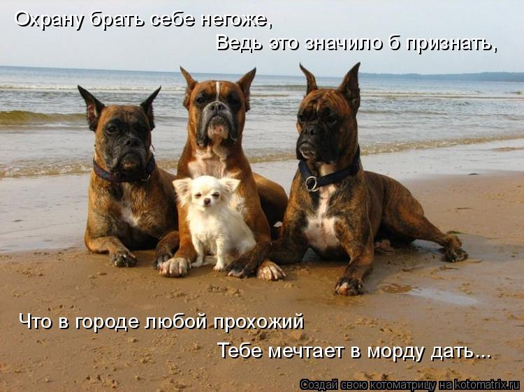 Охрану брать себе негоже, Ведь это значило б признать, Что в городе любой прохожий Тебе мечтает в мор... Котоматрица: Охрану брать себе негоже, Ведь это значило б признать, Что в городе любой прохожий Тебе мечтает в морду дать...
