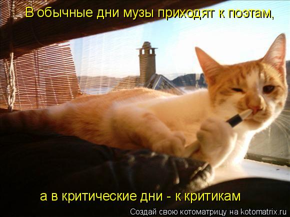 В обычные дни музы приходят к поэтам, а в критические дни - к критикам... Котоматрица: В обычные дни музы приходят к поэтам, а в критические дни - к критикам