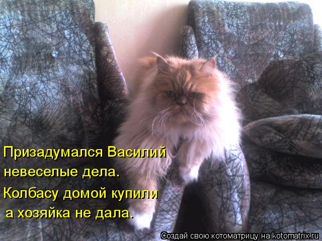 Призадумался Василий невеселые дела. Колбасу домой купили а хозяйка не дала.... Котоматрица: Призадумался Василий невеселые дела. Колбасу домой купили а хозяйка не дала.