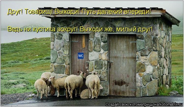 Друг! Товарищ! Выходи! Путь далекий впереди! Ведь ни кустика вокруг! Выходи же, милый друг!... Котоматрица: Друг! Товарищ! Выходи! Путь далекий впереди! Ведь ни кустика вокруг! Выходи же, милый друг!