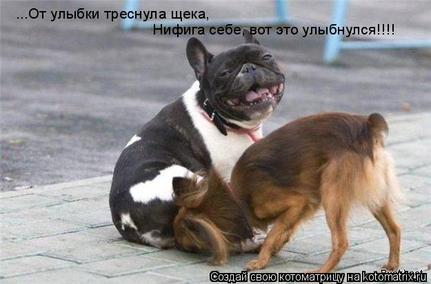 ...От улыбки треснула щека, Нифига себе, вот это улыбнулся!!!!... Котоматрица: ...От улыбки треснула щека, Нифига себе, вот это улыбнулся!!!!