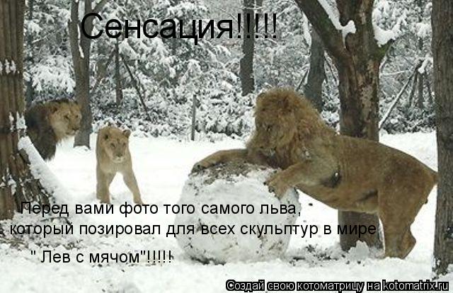 Сенсация!!!!! Перед вами фото того самого льва, который позировал для всех скульптур в мире " Лев с м... Котоматрица: Сенсация!!!!! Перед вами фото того самого льва, который позировал для всех скульптур в мире " Лев с мячом"!!!!!